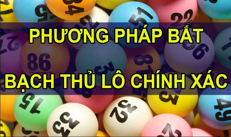 Truyền đạt những phương pháp bắt bạch thủ lô hiệu quả